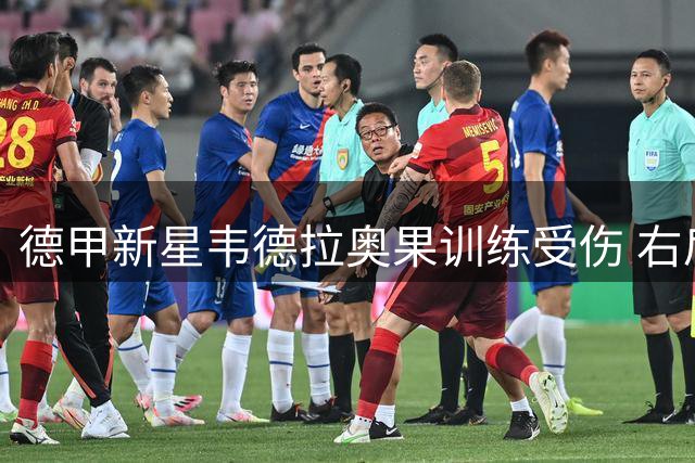 德甲新星韦德拉奥果训练受伤 右肩关节囊损伤恐缺席季初赛事